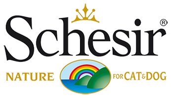 schesir pavia piacenza